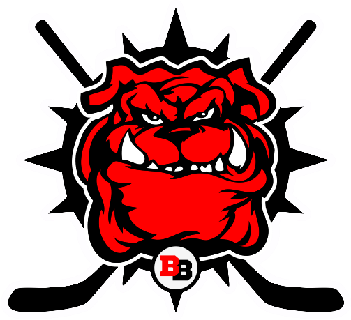 Brewster Bulldogs 2016 Secondary Logo iron on heat transfer